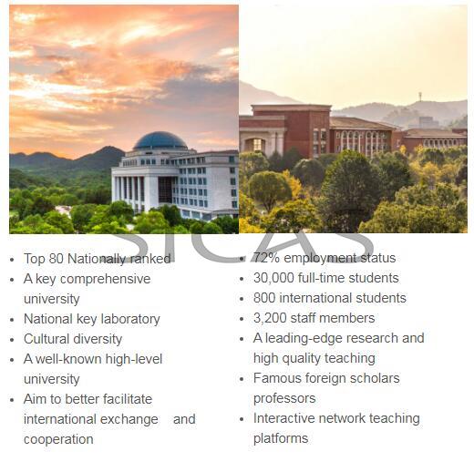 Foundation Programs
